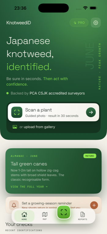 KnotweediD home screen showing the Japanese knotweed identification app