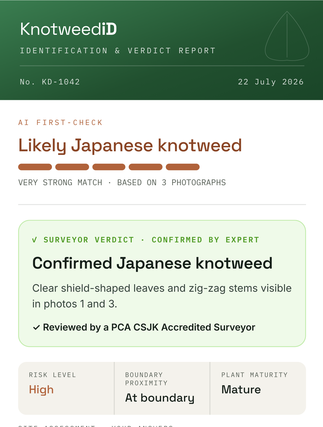 A KnotweediD identification and verdict report: AI first-check, confirmed surveyor verdict and site risk assessment